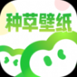 種草壁紙