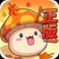 冒險(xiǎn)島聯(lián)盟的意志蘋果版